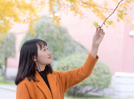 在菲律宾留学入境条件最新 入境留学条件更新